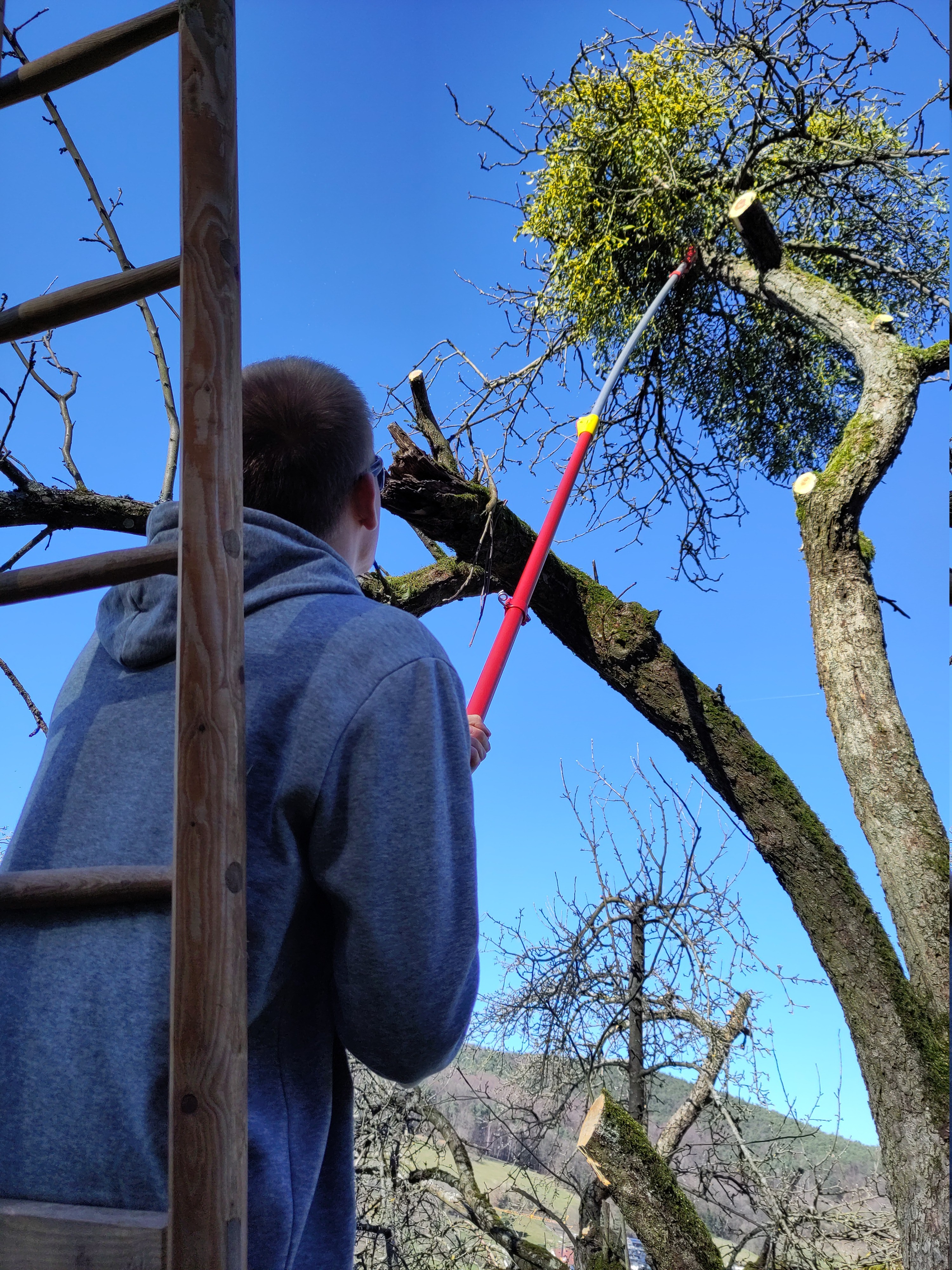 Foto: Team bei der Arbeit